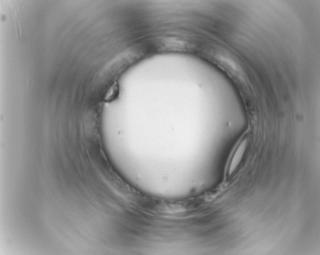 X0000088640361200706151948