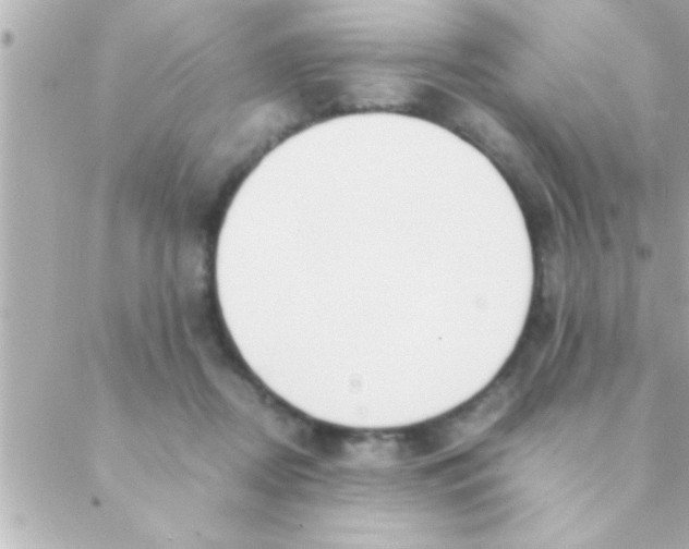 X0000088640362200706151948