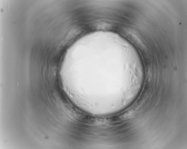 X0000088640363200706151948