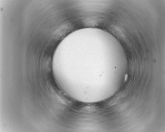 X0000088640364200706151948