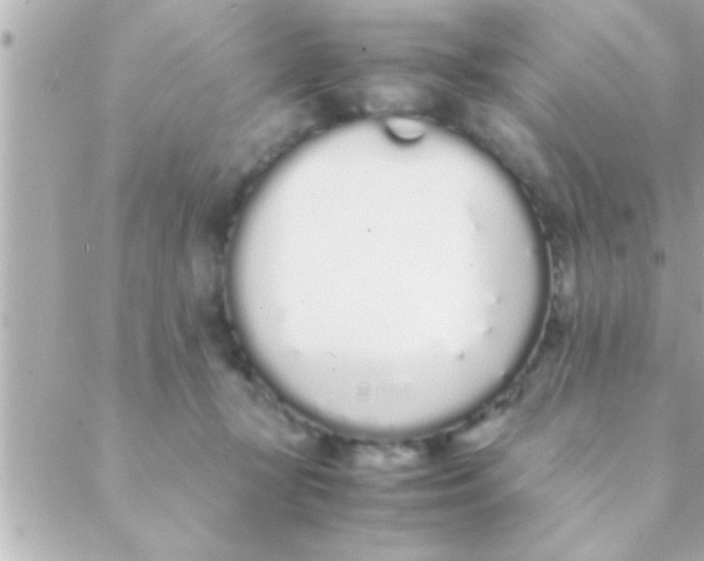 X0000088640367200706151948