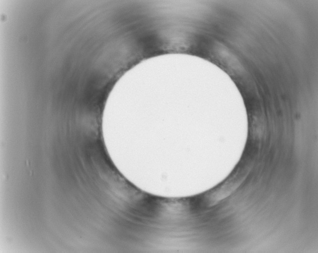 X0000088640370200706151948