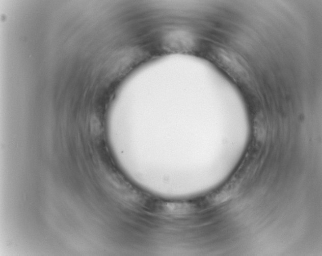 X0000088640371200706151948