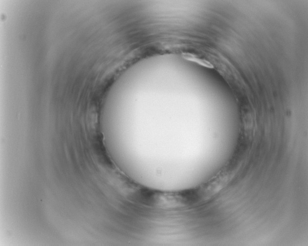 X0000088640372200706151948