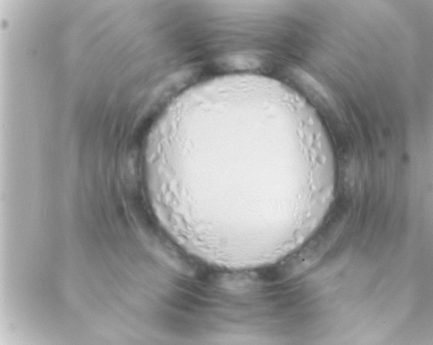 X0000088640373200706151948