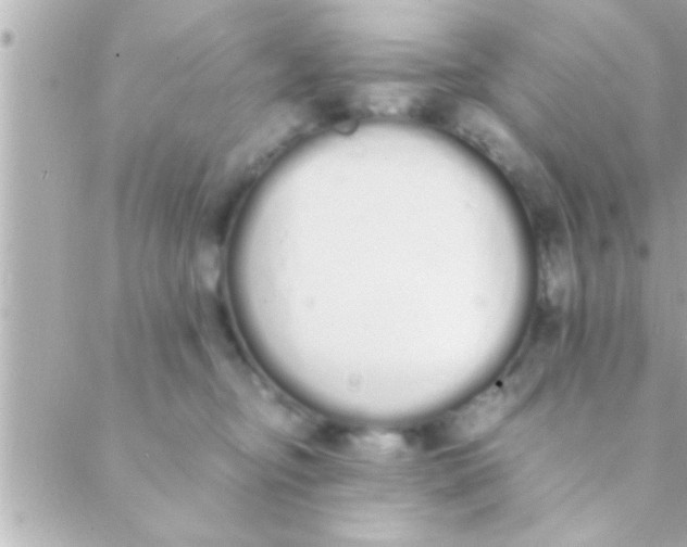 X0000088640374200706151948