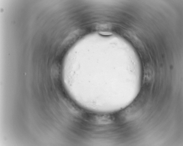 X0000088640375200706151948