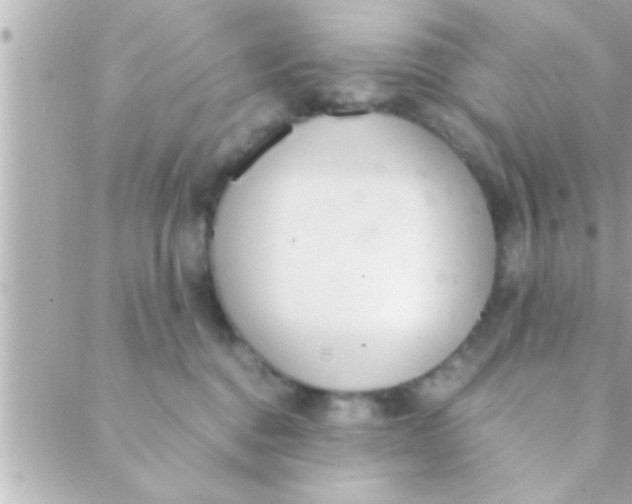 X0000088640376200706151948