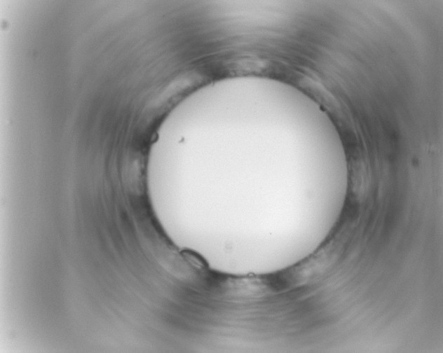 X0000088640378200706151948