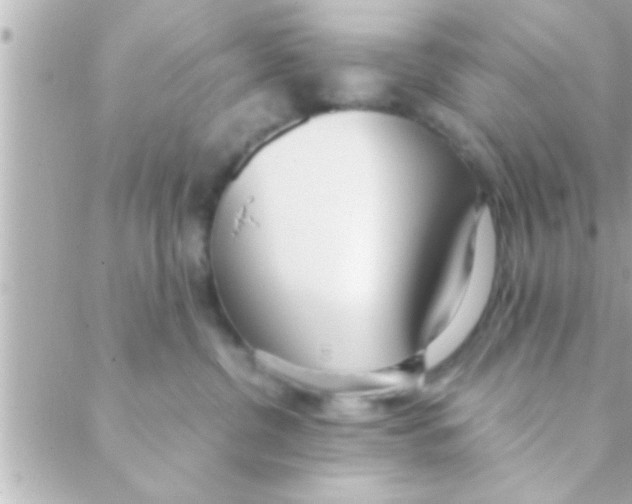 X0000088640380200706151948