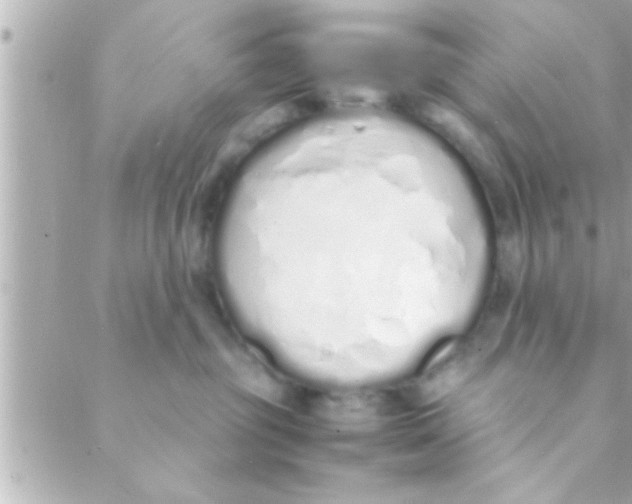 X0000088640381200706151948