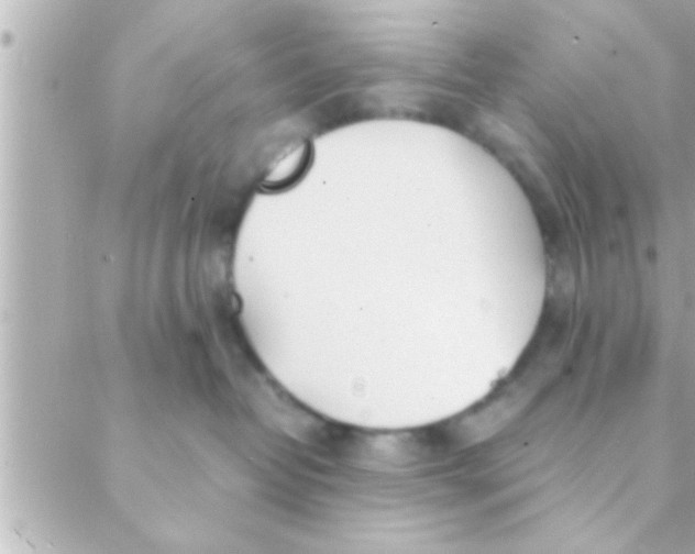 X0000088640382200706151948