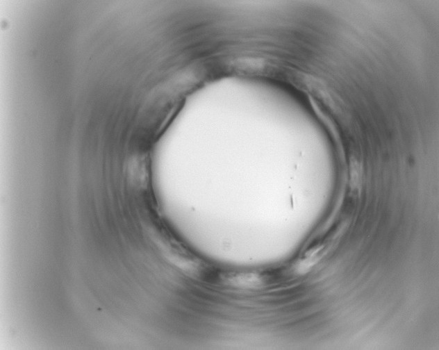 X0000088640383200706151948