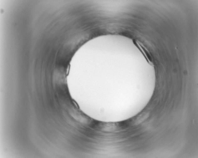 X0000088640384200706151948