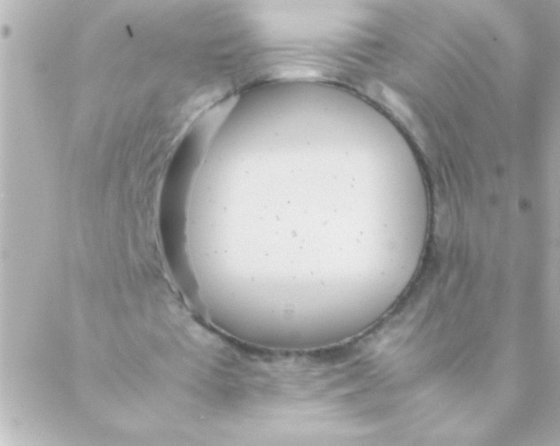 X0000088640385200706151948