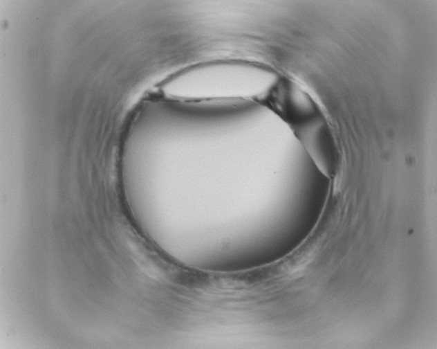 X0000088640387200706151948