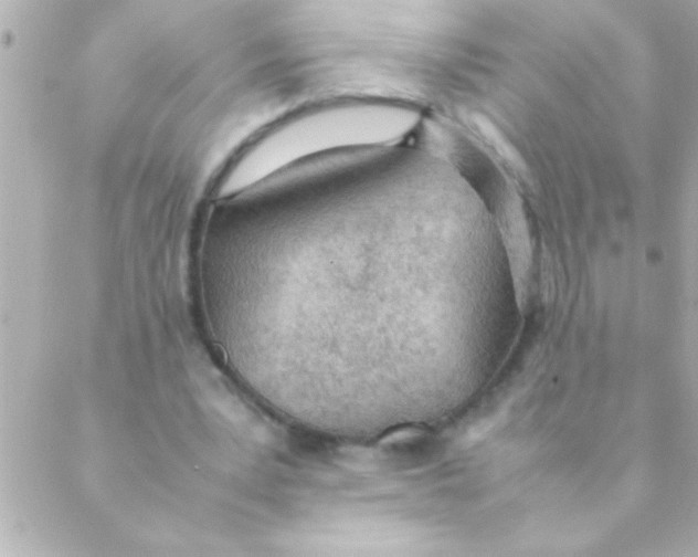 X0000088640391200706151948