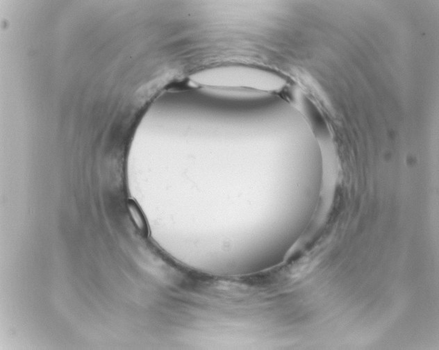 X0000088640393200706151948