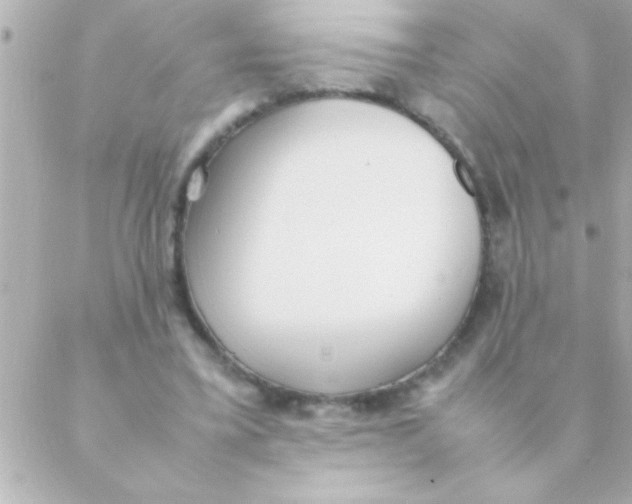 X0000088640395200706151947