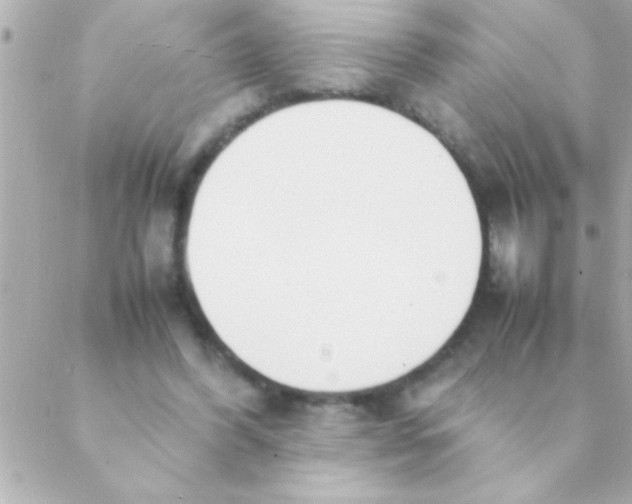 X0000088640396200706151947