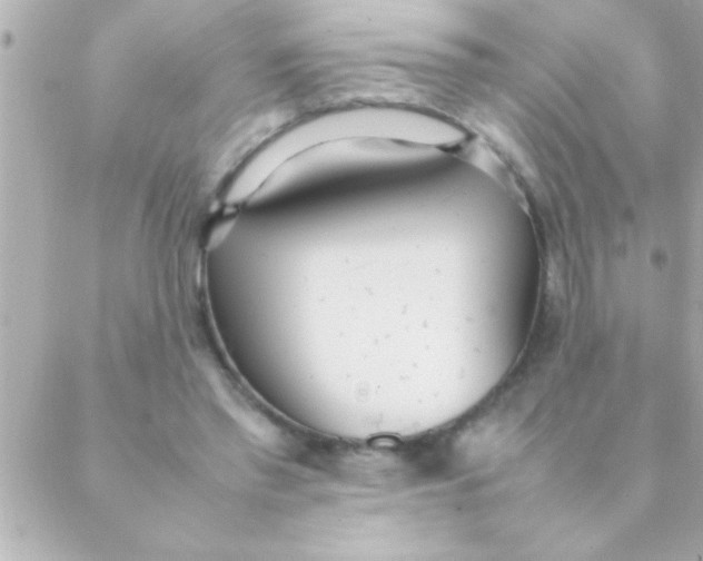 X0000088640397200706151947