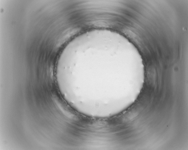 X0000088640398200706151947