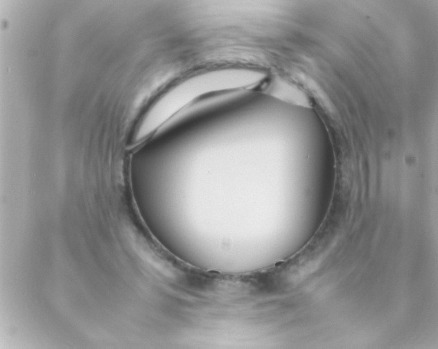 X0000088640399200706151947