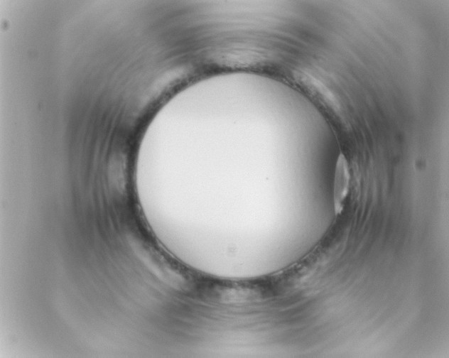 X0000088640400200706151947