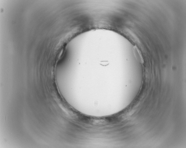 X0000088640401200706151947