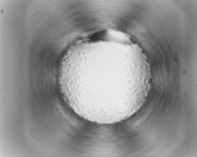 X0000088640402200706151947