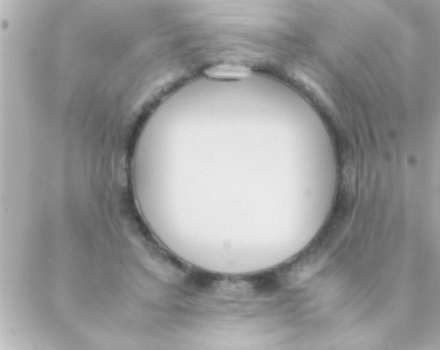 X0000088640403200706151947