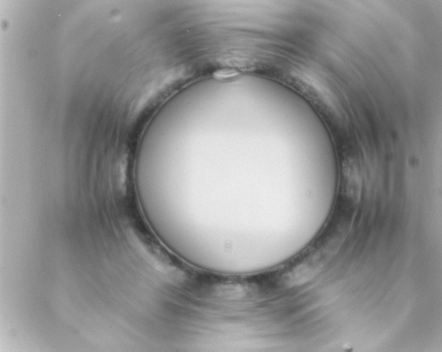 X0000088640404200706151947