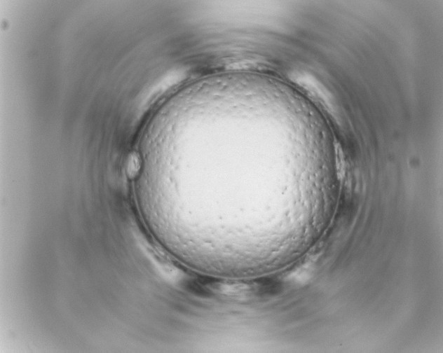 X0000088640405200706151947