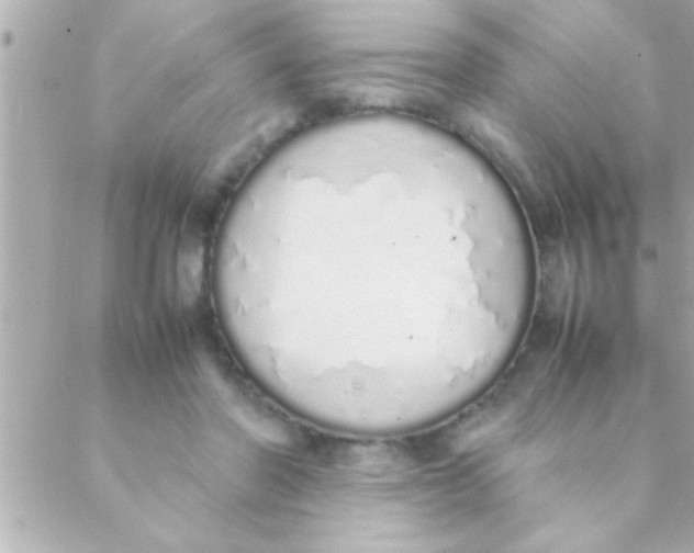 X0000088640406200706151947