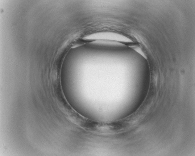 X0000088640407200706151947