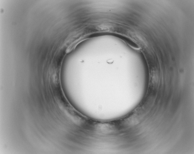 X0000088640408200706151947