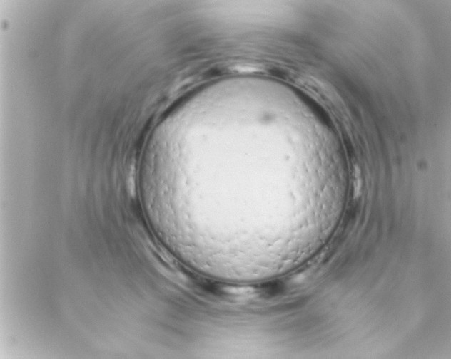 X0000088640409200706151947