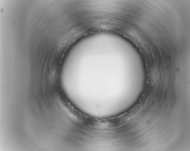 X0000088640410200706151947