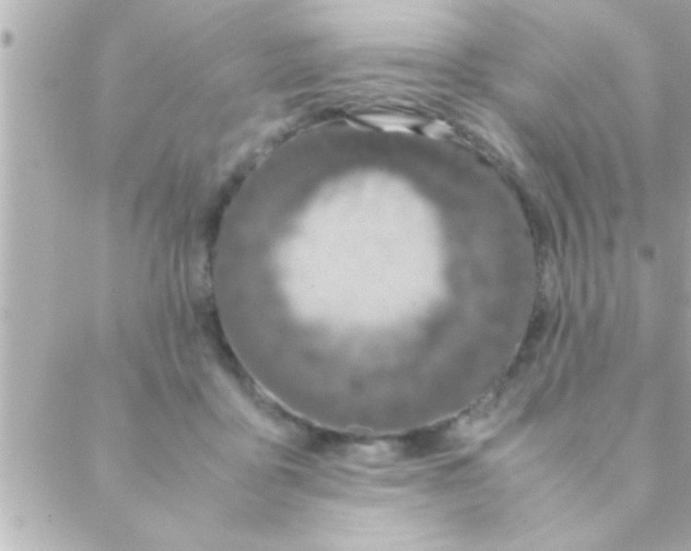 X0000088640411200706151947