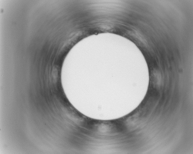 X0000088640412200706151947