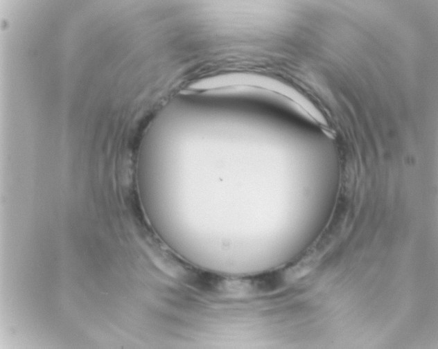 X0000088640413200706151947