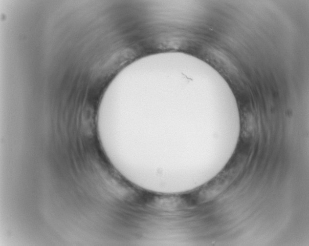 X0000088640414200706151947