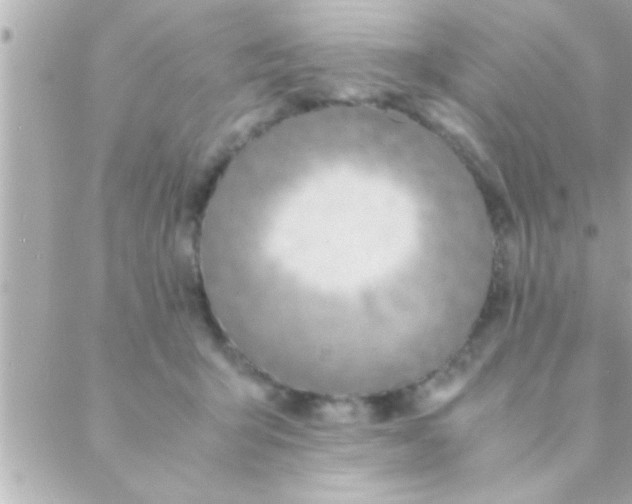 X0000088640415200706151947