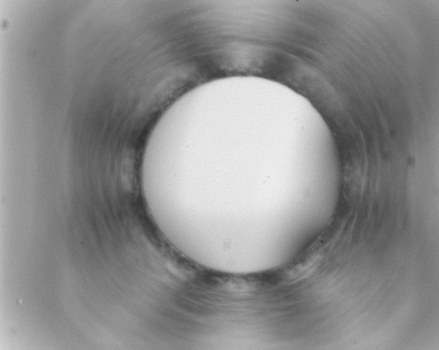 X0000088640416200706151947