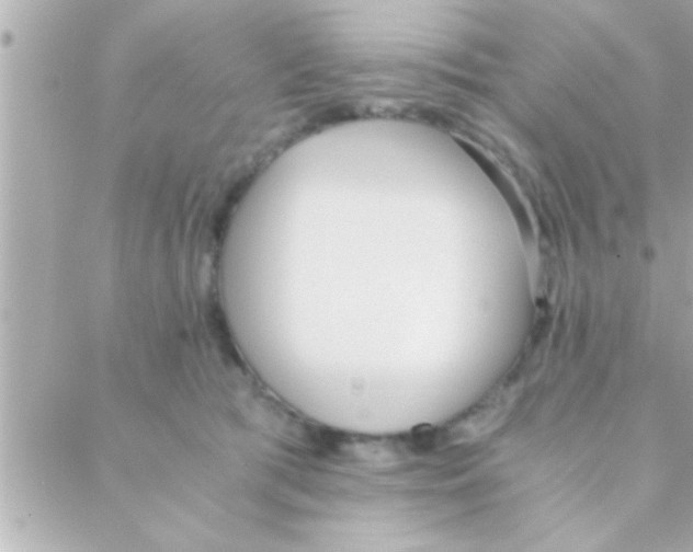 X0000088640417200706151947