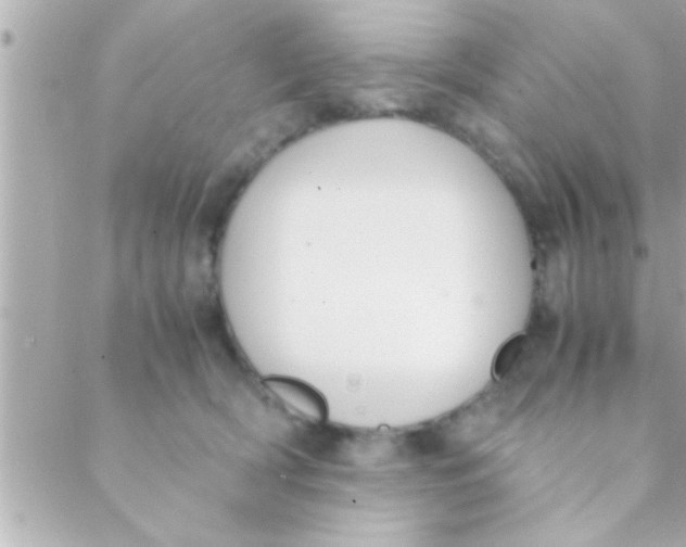 X0000088640418200706151947