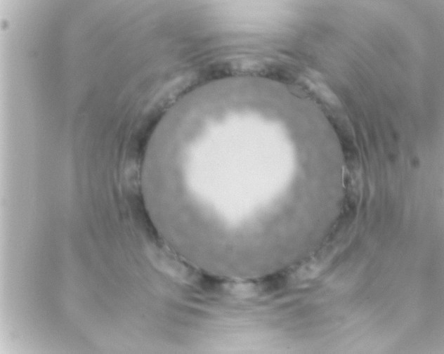 X0000088640419200706151947