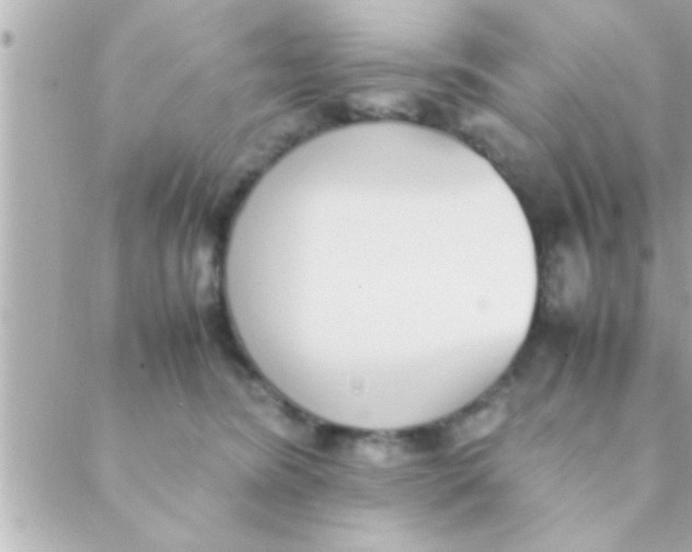 X0000088640420200706151947