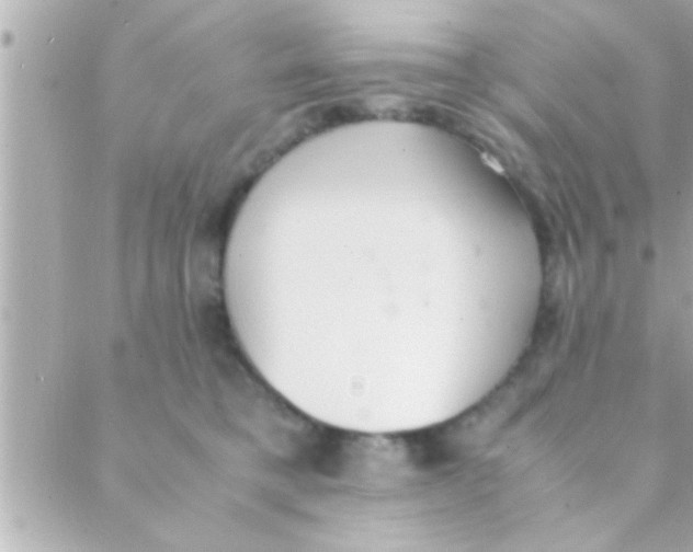 X0000088640421200706151947