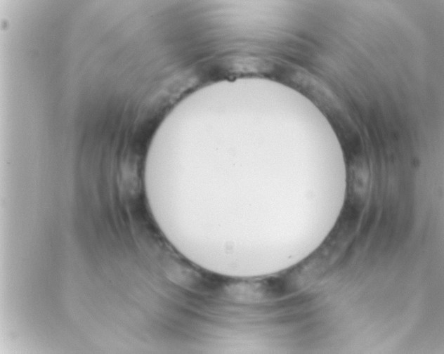 X0000088640422200706151947